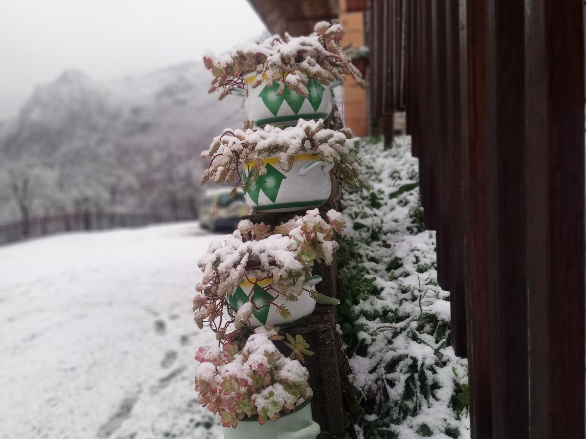 Family Owned Self Sufficient Eco Farm Tara Hotel Pljevlja Exterior photo